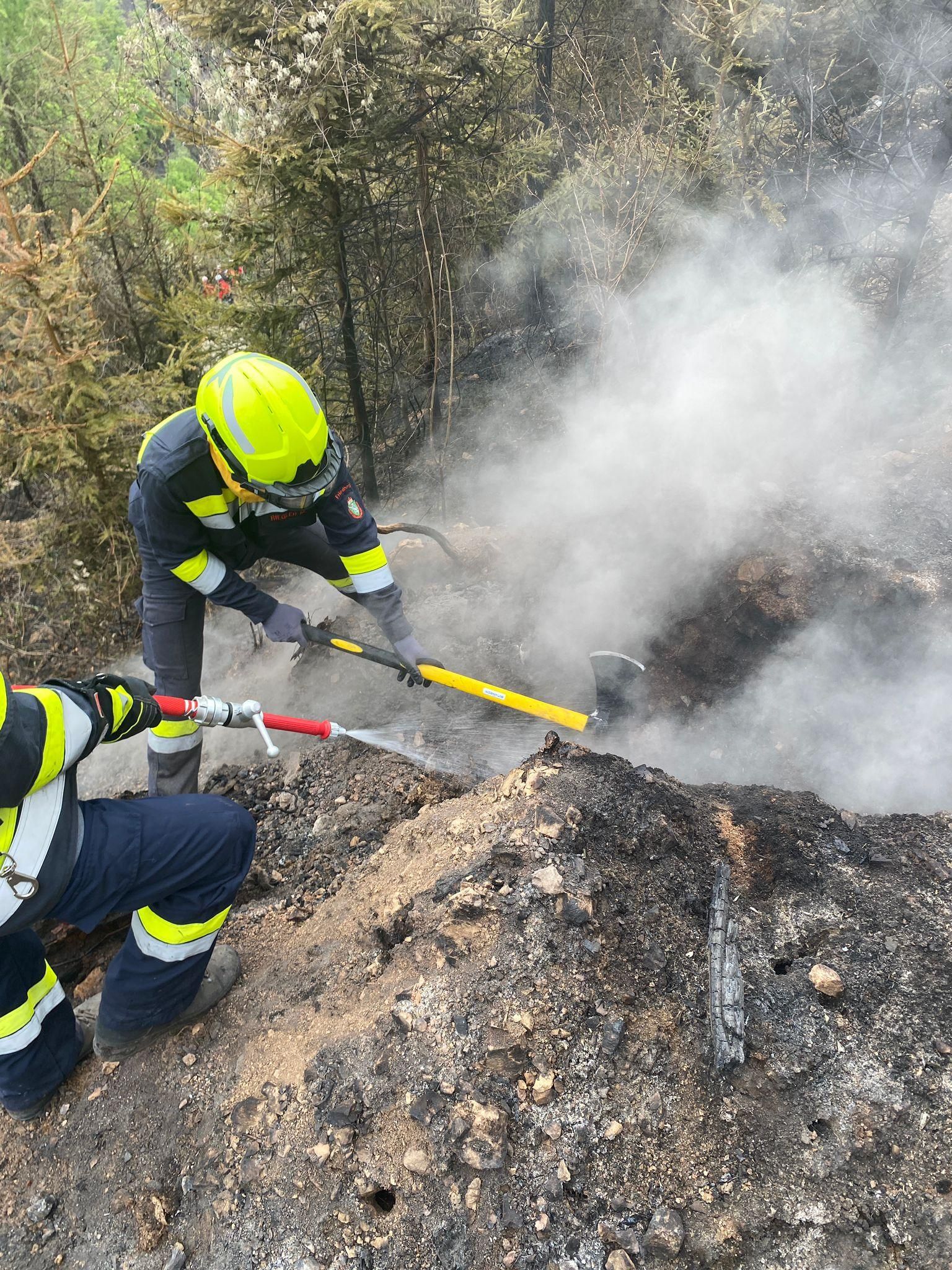 FF Schwaighof im Waldbrandeinsatz!